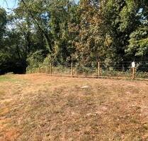 Freizeitfläche zu verpachten - 10,00 EUR Kaltmiete, ca.  0,00 m² in Beverungen (PLZ: 37688)