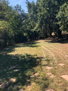 Foto - Grundstück zur Miete in Beverungen