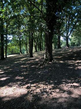 Foto - Grundstück in Beverungen