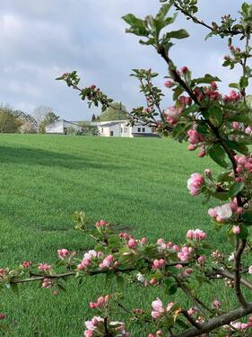 Foto - Helle 2-Zimmergenossenschaftswohnung in 23866 Nahe