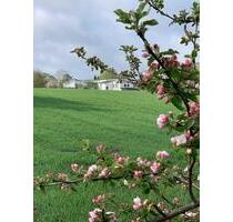 Helle 2-Zimmergenossenschaftswohnung in 23866 Nahe