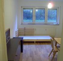 1 Zimmer Soutterain Wohnung am Fuße des Burgbergs - Buckenhof