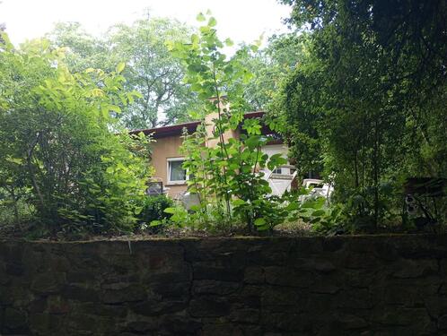 Foto - Einfamilienhaus zur Miete in Moritzburg