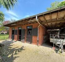 Privater Reitstall zu verpachten - Viersen Hülsdonk