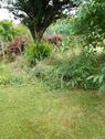 Foto - Einfamilienhaus in Wolsdorf zum Kaufen