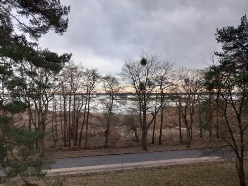 Foto - Etagenwohnung in Greifswald