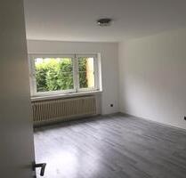 Neu renovierte helle 4 ZKB EG Wohnung - Hargesheim
