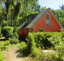 Ferienhaus in idyllischer Waldlage, 5min. zum Ostseestrand Zingst