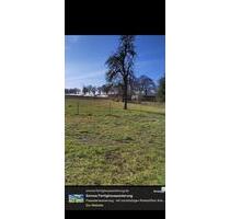 EFH in ruhiger Umgebung san. bed. - Borrentin