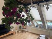 Foto - Gemütliche, kleine Dachwohnung in Sassnitz
