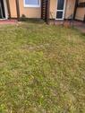 Foto - Wolfsburg Kästorf, 2 Zi., ca. 56m² im EG mit Garten