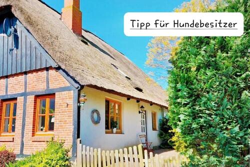 Foto - andere zur Miete in Fehmarn