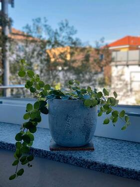 Foto - Zwischenmiete Zimmer für einzelne Tage ab 15.10.