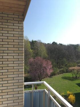 Foto - Etagenwohnung in Helmstedt zur Miete