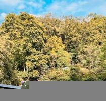 Möblierte 2-Zimmerwohnung mit schönem Balkon - Berlin Reinickendorf