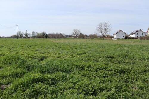 Foto - Musterbild! Land und Forstwirtschaftliche Grundstück