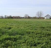 Musterbild! Land und Forstwirtschaftliche Grundstück - Herzogenaurach