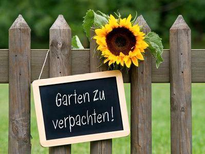 Foto - Kleingarten Schrebergarten Garten Grundstück