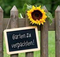 Kleingarten Schrebergarten Garten Grundstück - Varel