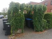 Foto - 4 Zimmer Erdgeschoßwohnung zum Kaufen in Baddeckenstedt