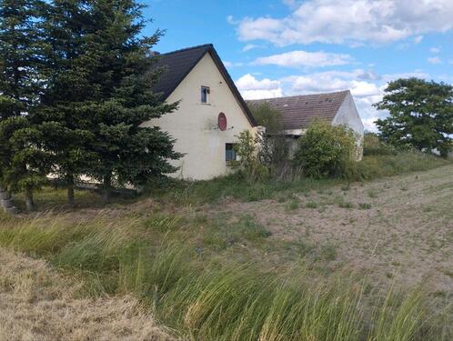 Foto - 2.5 Zimmer Bauernhaus, Landhaus zum Kaufen in Annaburg