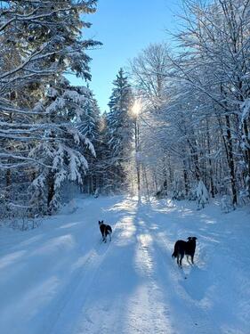 Foto - andere zur Miete in Grainet