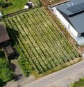 Foto - Ertragreicher Weinberg - 50,00 EUR Kaltmiete, ca.  0,00 m²