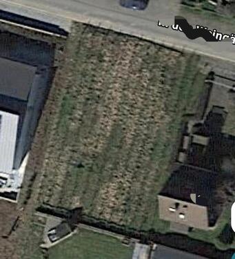 Foto - Ertragreicher Weinberg - 50,00 EUR Kaltmiete, ca.  0,00 m²