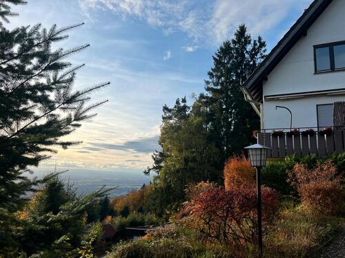 Foto - 2 Zimmer Terrassenwohnung zum Kaufen in Sasbachwalden