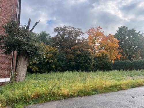 Foto - andere zur Miete in Zwickau