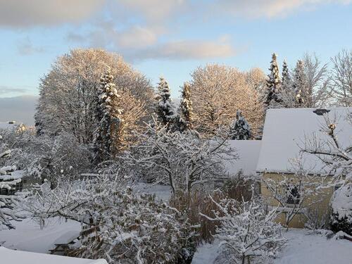 Foto - Wohnung möbliert, Kiel, mit Garten