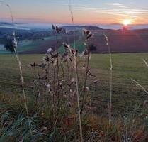 Wunderschöne helle Dachgeschosswohnung mit Balkon Nähe Lauterecke - Lauterecken