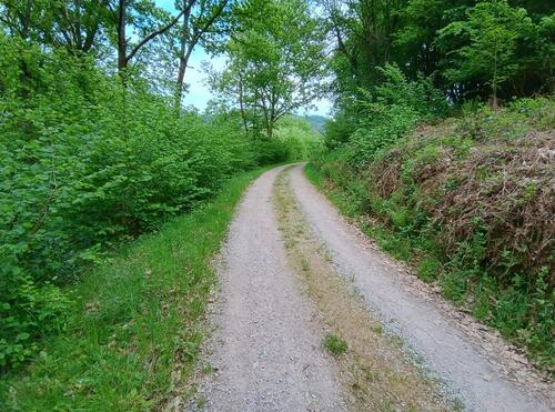 Foto - Grundst&uuml;ck in Forbach