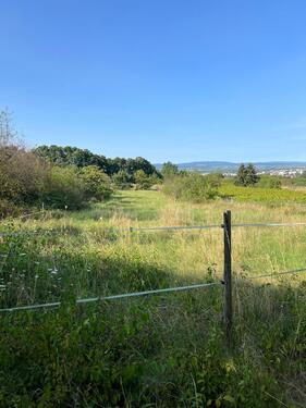Foto - Grundstück zur Miete in Ingelheim am Rhein