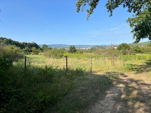 Foto - Grundstück in Ingelheim am Rhein
