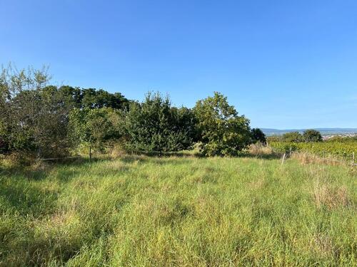 Foto - Grundstück in Ingelheim am Rhein zur Miete