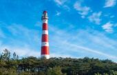 Foto - FEWO AMELAND mit Hund. AB 22.09.25 frei. KUNSTMONAT AMELAND FREI