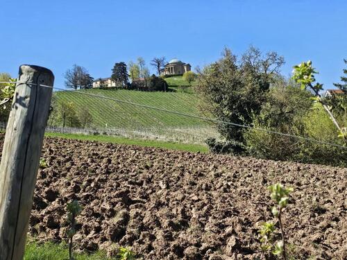 Foto - GrünlandAcker-Grundstück in Stuttgart-Uhlbach, frisch gerodet