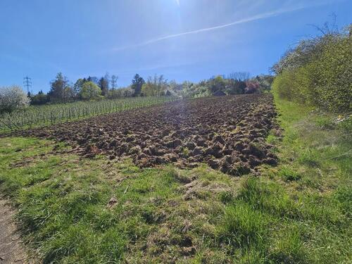 Foto - Grundst&uuml;ck zur Miete in Stuttgart