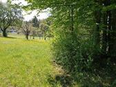 Foto - Grundst&uuml;ck in Pforzheim zur Miete