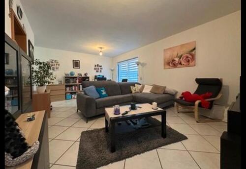 Foto - Schöne helle Mietwohnung ab sofort frei