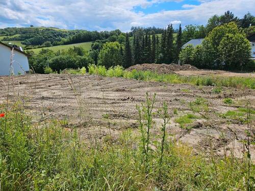 Foto - Einfamilienhaus zum Kaufen in Obermoschel