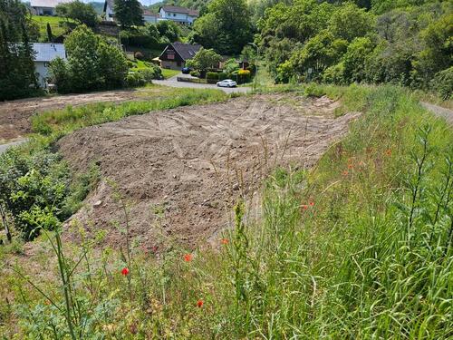 Foto - Einfamilienhaus in Obermoschel