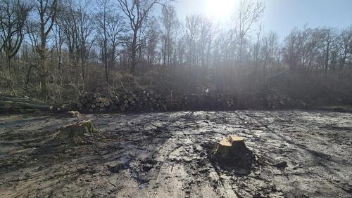 Foto - Einfamilienhaus in Rosbach vor der Höhe