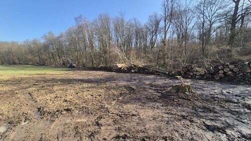 Foto - Einfamilienhaus in Rosbach vor der Höhe zum Kaufen