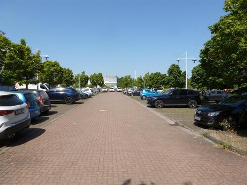 Foto - andere in Dessau-Roßlau