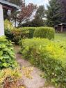 Foto - Einfamilienhaus in Falkenstein zum Kaufen