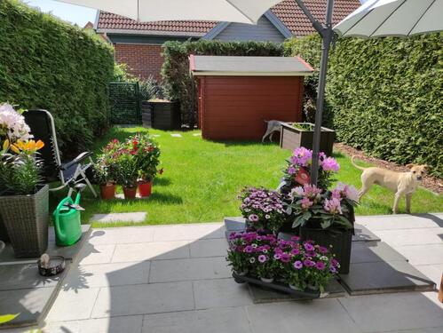 Foto - 5 Zimmer Reihenhaus zum Kaufen in Nauen