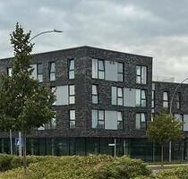 Moderne 1-Zimmer-Whg. im Neubau mit EBK & Stellplatz – Zentral - Agathenburg