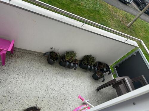 Foto - 2 Zimmer Etagenwohnung in Barsinghausen